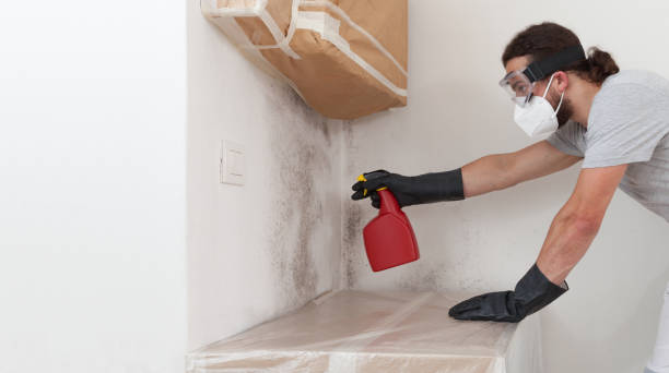 Professional Mold Remediation technician working in Hightstown, NJ