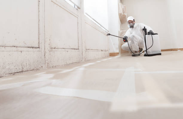 24/7 Emergency Mold Remediation experts in Hightstown, NJ