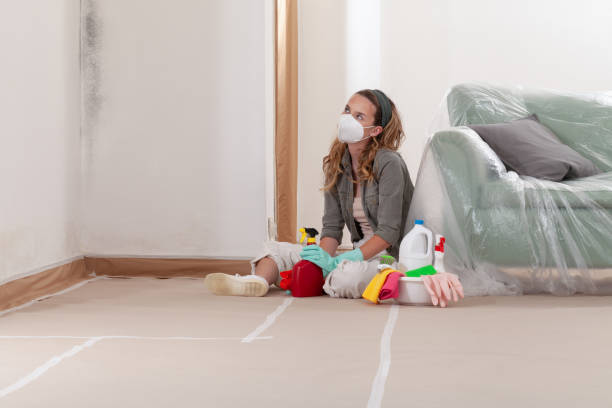 Reliable Mold Remediation contractor in Hightstown, NJ by Car Mold Remediation